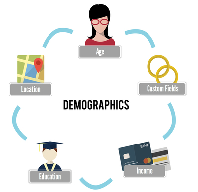 Include Demographics as CRM Activities